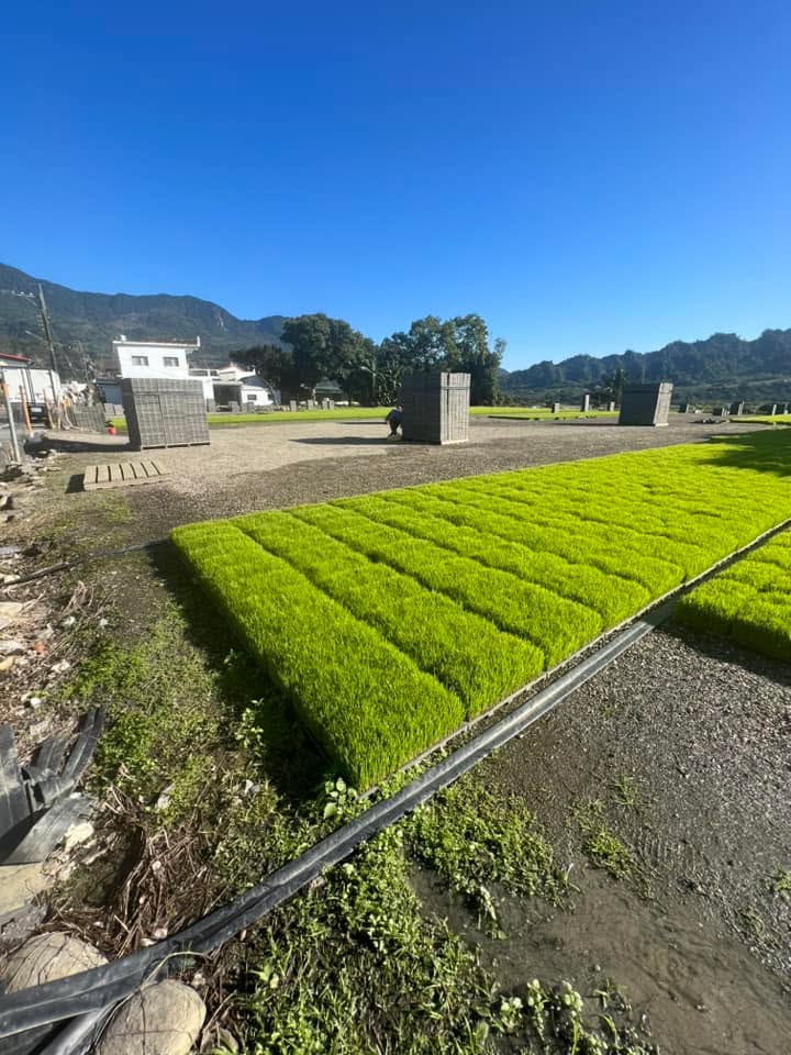文章圖片：這兩天馬不停蹄地前往台東會勘，訪查當事人被佔用的土地，並準…